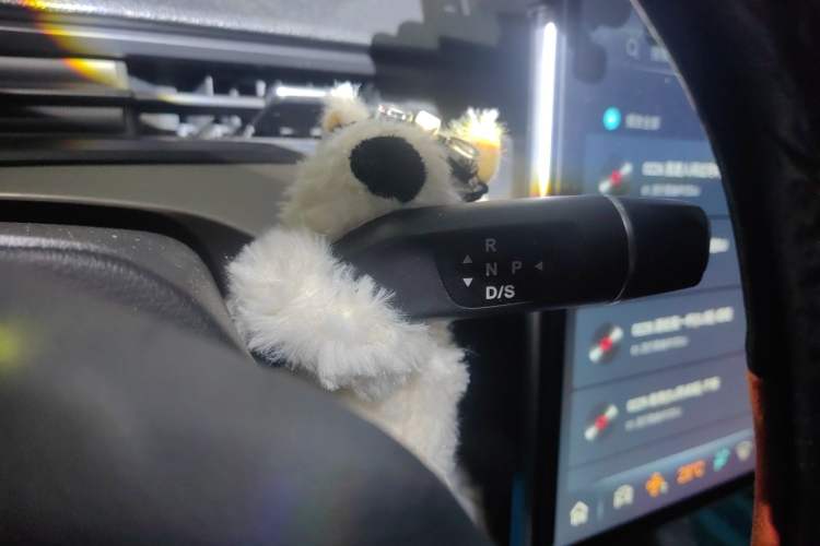 Used NETA V 2021 Long-Range Entertainment Edition Upgrade Model
