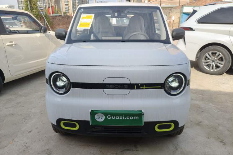 Used  Panda 2025 210 km – Yuanqi Bear