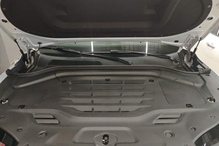 Used Leapmotor C11 2023 Pure Electric 500 Comfort Edition
