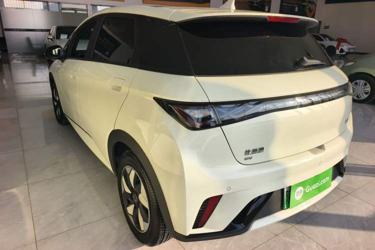 Used BYD Dolphin 2025 420km Free Edition
