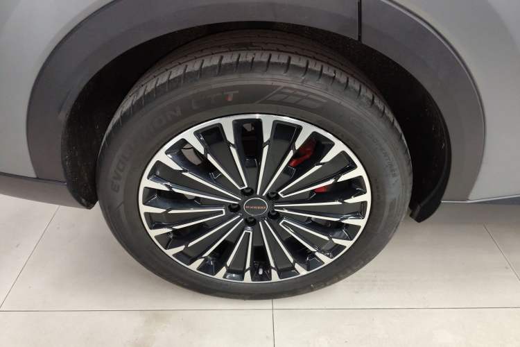 Used  Stellar 2023 400T Two-Wheel Drive Comfort Flyfish Edition
