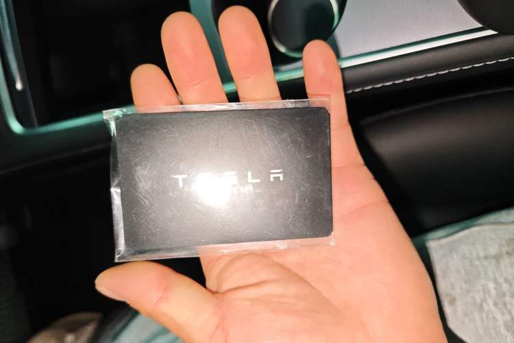 Used Tesla Model Y 2022 Rear-Wheel-Drive Version
