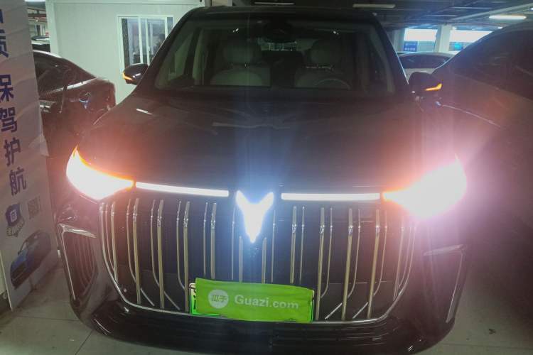 Used VOYAH Dream 2022 Low-Carbon Edition Plus Intelligent Driving Package
