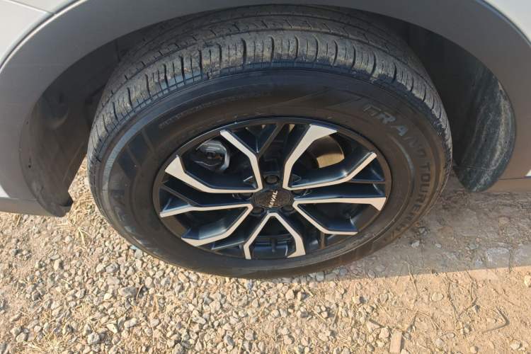 Used Haval H6 2021 National Trend Edition 1.5T Automatic Urban Version
