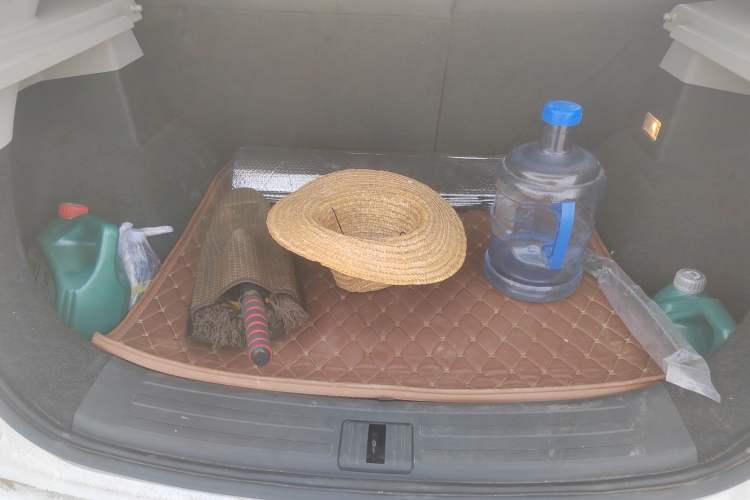 TDK.VehicleDetails.img