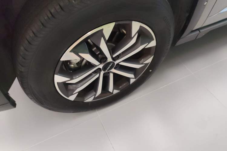 Used Haval H Dog 2023 2.0T Two-Wheel Drive Chaoye Version Plus