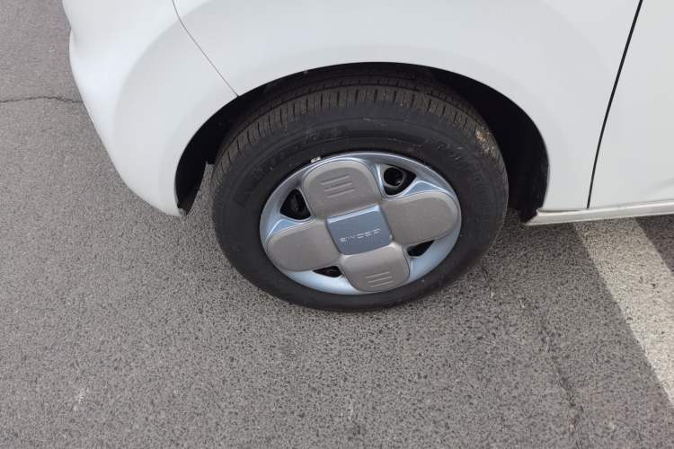 Used  Panda 2024 Panda Mini 200km Endurance Bear
