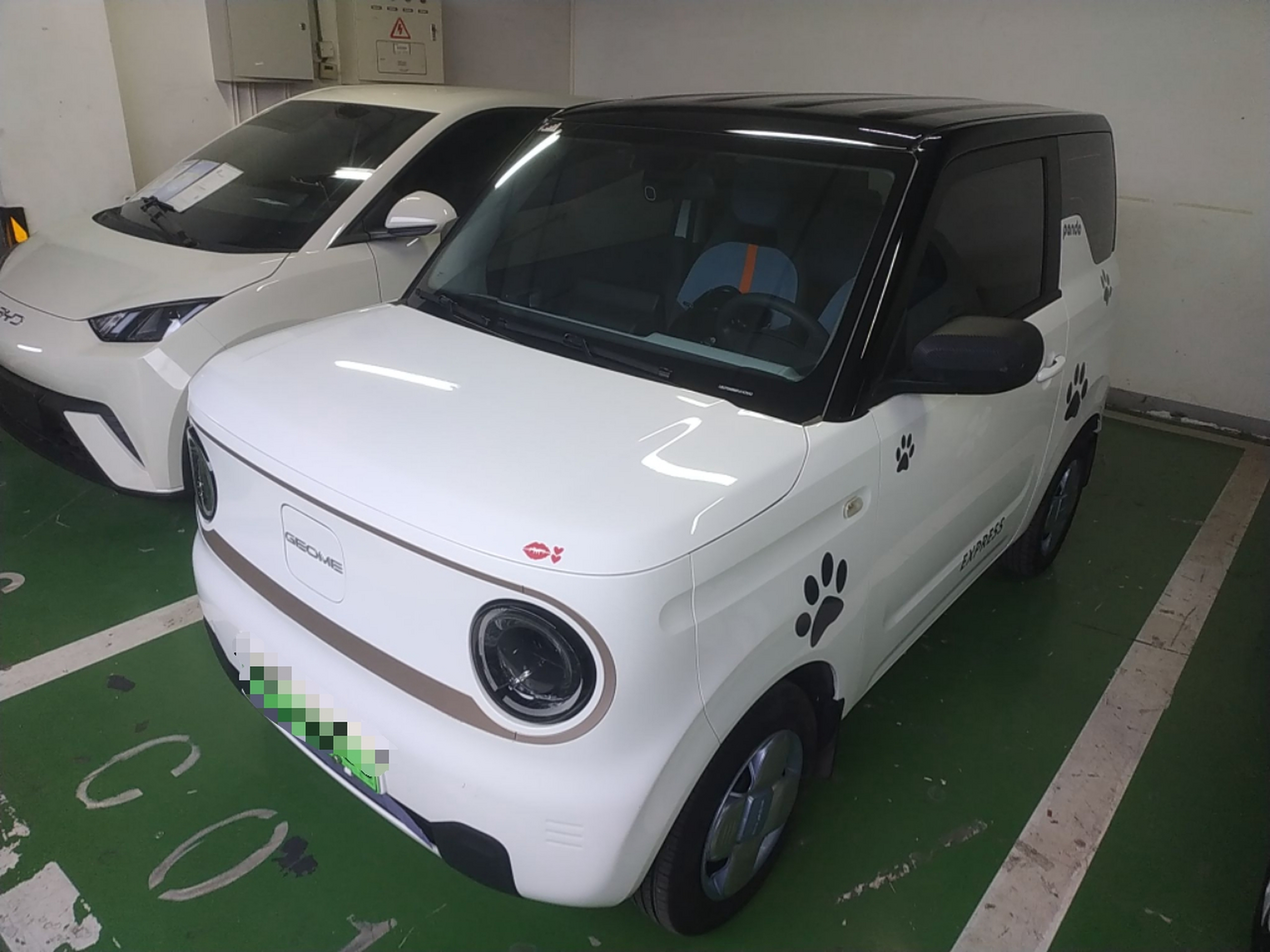 تحت مقدمة السيارة