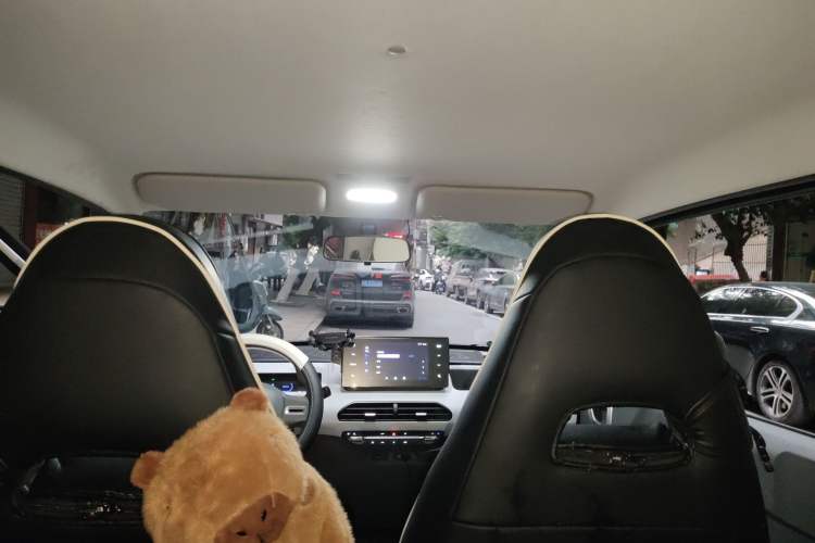 Used  Panda 2024 Panda Mini 200km Endurance Bear
