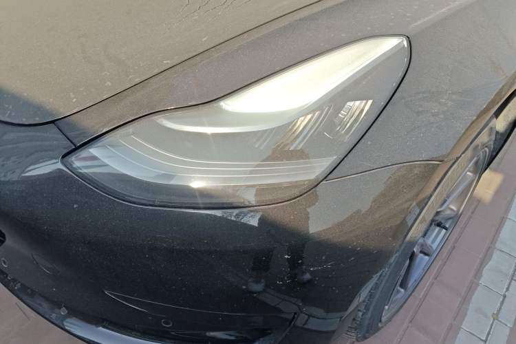 Used Tesla Model 3 2019 Standard Range Rear-Drive Upgraded Version