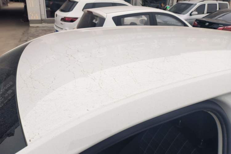 Used Skoda Octavia 2019 1.5L Automatic Comfort Edition
