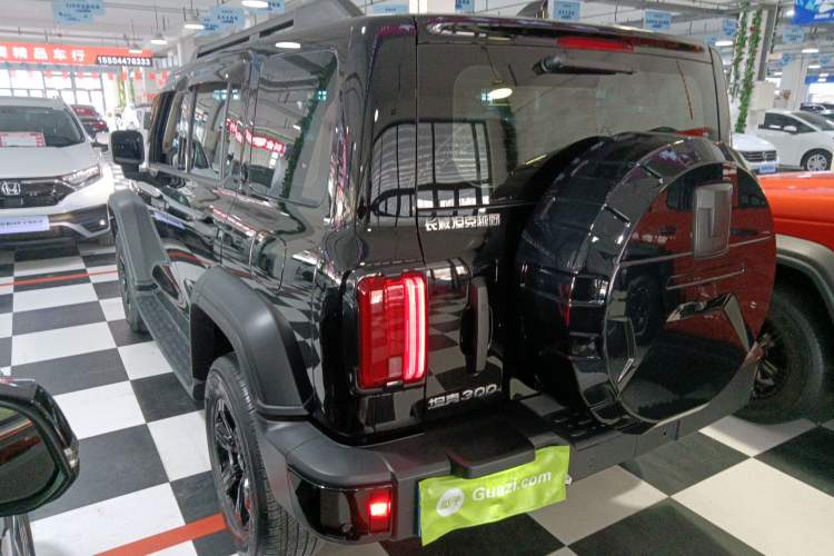 Used Tank 300 2024 2.0T Conqueror