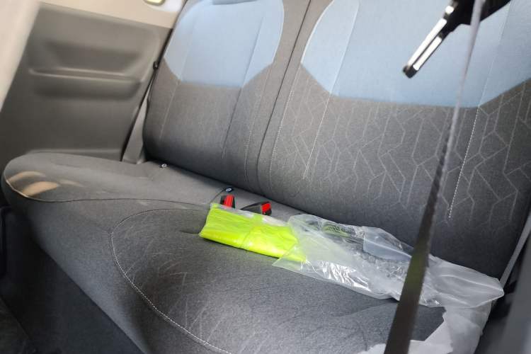 Used  Panda 2024 Panda Mini 200km Endurance Bear
