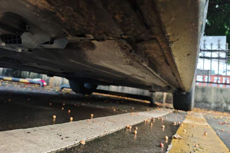 Used Lynk & Co 02 2019 1.5T DCT Two-Wheel Drive Pro Edition China VI Standard
