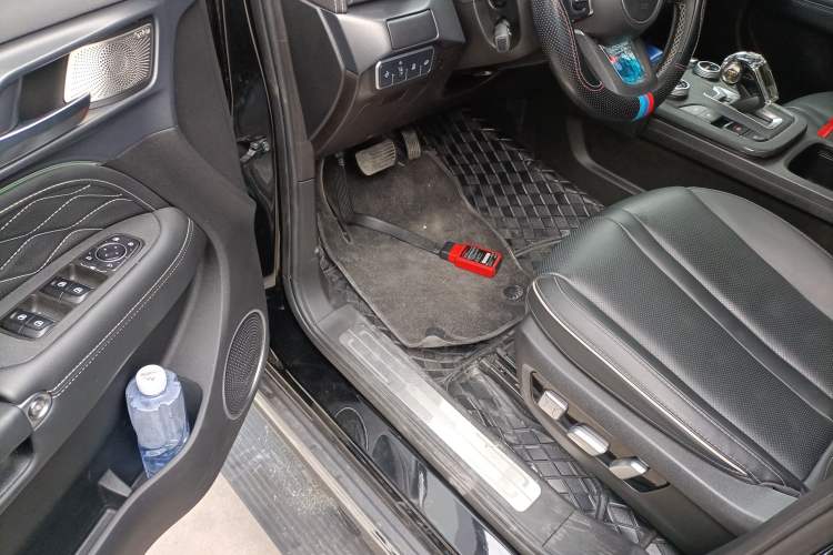 Used Tank 300 2024 2.0T Crosser
