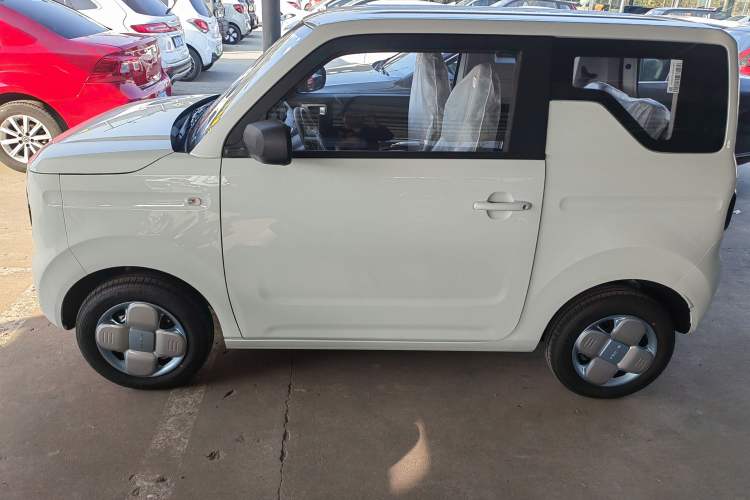Used  Panda 2024 Panda Mini 200km Endurance Bear
