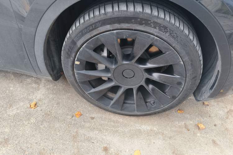 Used Tesla Model Y 2024 Long-Range All-Wheel-Drive Version