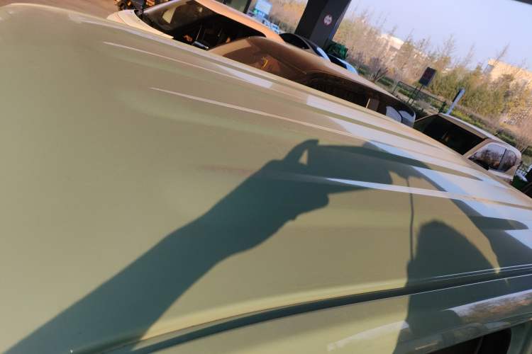 Used  Panda 2023 Panda Mini 200km Endurance Bear
