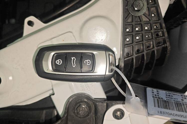 Used  Panda 2024 Panda Mini 200km Endurance Bear
