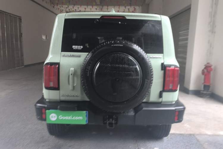 Used Tank 300 2024 2.0T Crosser
