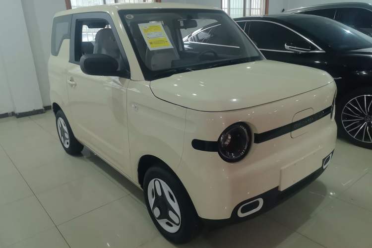 Used  Panda 2025 210 km – Yuanqi Bear
