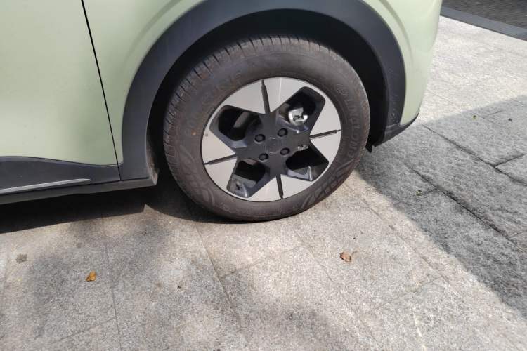 Used  Geome 2025 310km Dream Edition