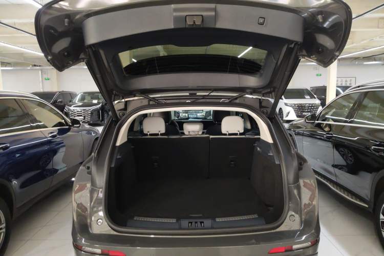 Used Lincoln Corsair 2023 2.0T Two-Wheel Drive Luxury Edition
