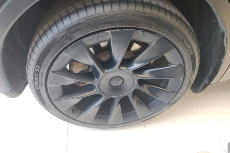 Used Tesla Model Y 2021 Standard Range Rear-Wheel Drive Version
