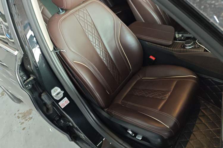 Used BMW 5 Series New Energy 2019 530Le Luxury Package