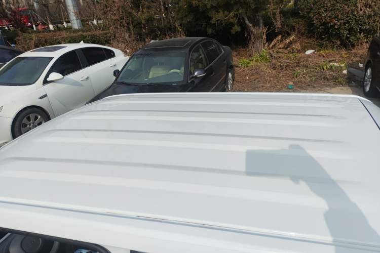 Used  Panda 2024 Panda Mini 200km Endurance Bear
