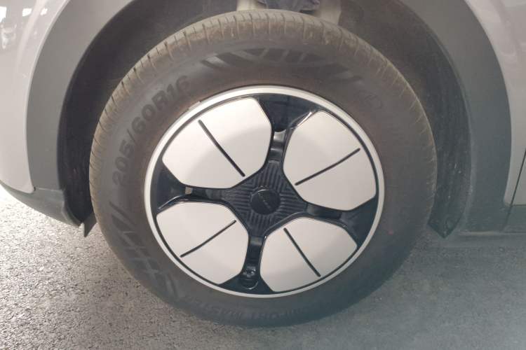 Used  Geome 2025 310km Youth Edition
