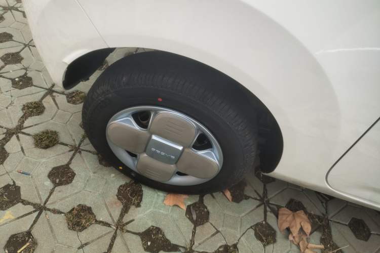 Used  Panda 2024 Panda Mini 200km Endurance Bear
