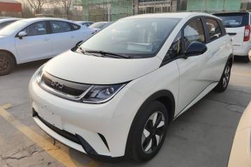 Used BYD Dolphin 2025 420km Free Edition