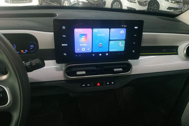 Used  Panda 2025 210 km – Yuanqi Bear