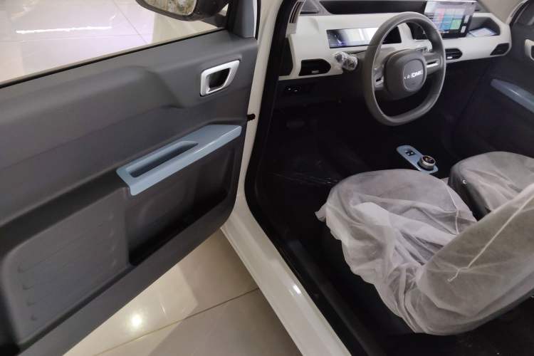 Used  Panda 2024 Panda Mini 200km Endurance Bear
