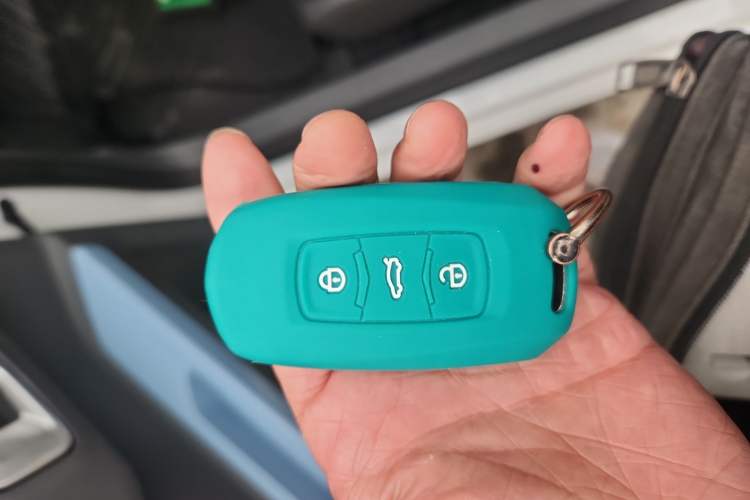 Used  Panda 2023 Panda Mini 200km Dynamic Bear
