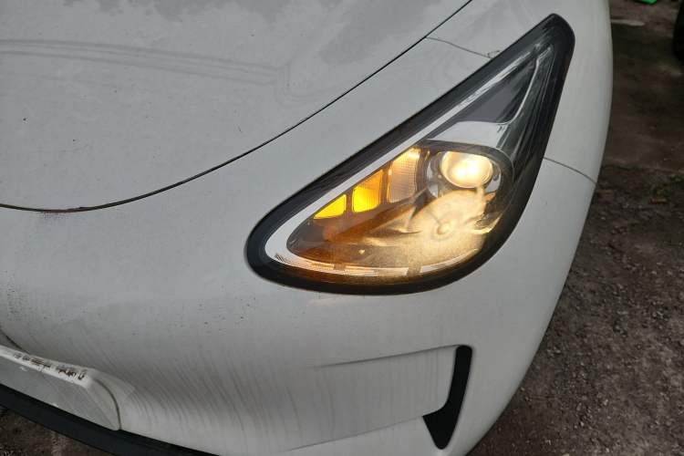 Used  Geome 2025 310km Youth Edition
