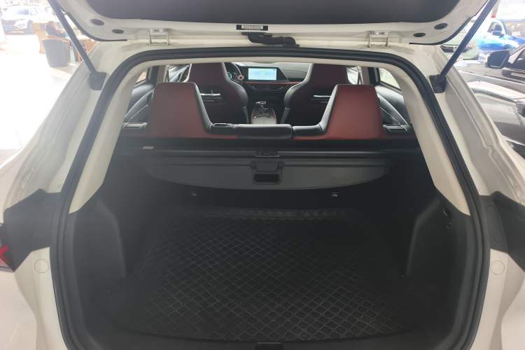 Used Oshan X5 2021 1.5T DCT Flagship Edition
