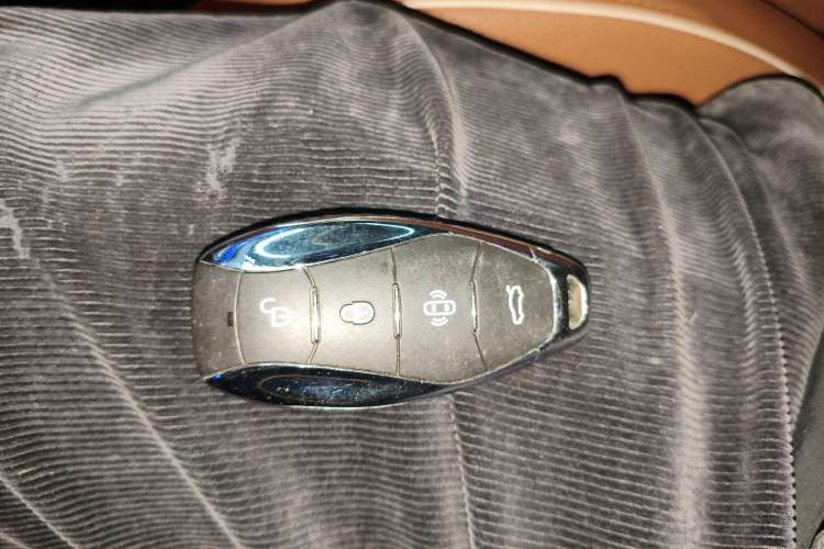 Used Hongqi H9 2023 2.0T Smart Connect Flagship Edition
