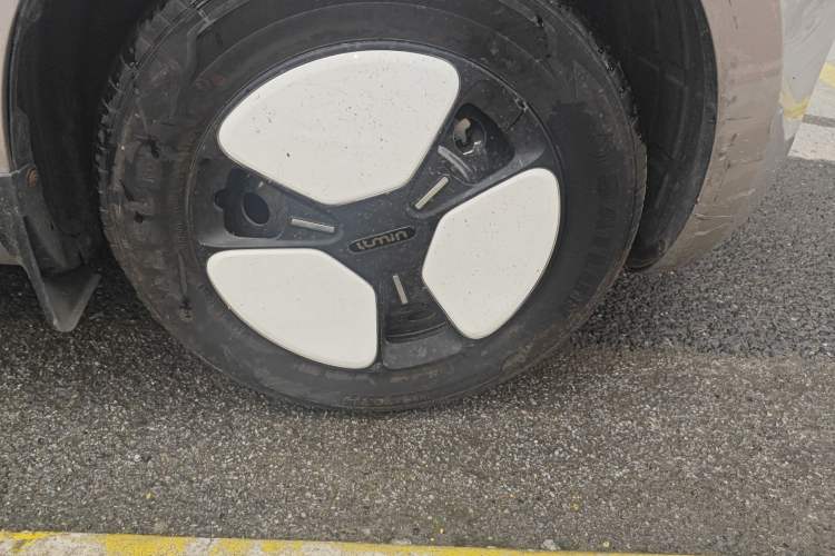 Used Qiyuan Lumin 2024 130km Qingyue Version