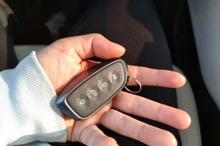 Used Haval Raptor New Energy 2024 Hi4 145 Cross-Over Edition
