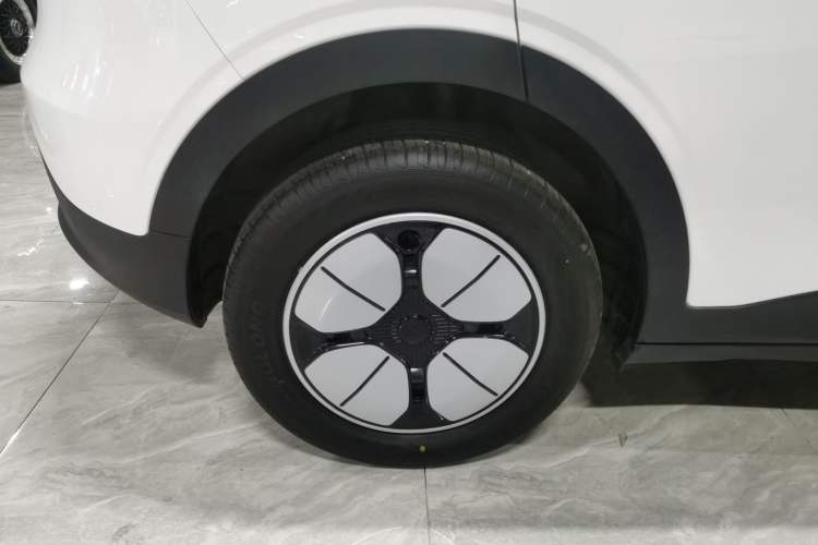 Used  Geome 2025 310km Youth Edition
