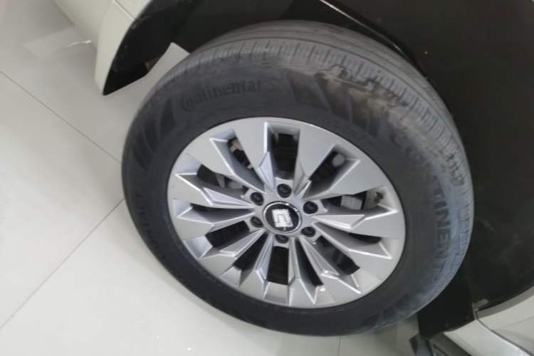 Used Tank 500 New Energy 2024 Hi4-T
