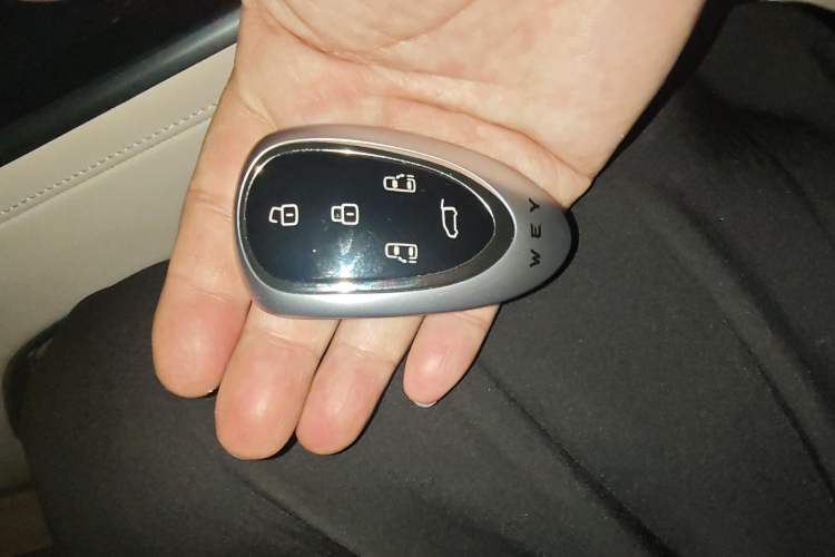 Used Wey Gaoshan 2023 Four-Wheel-Drive Executive Extended Version