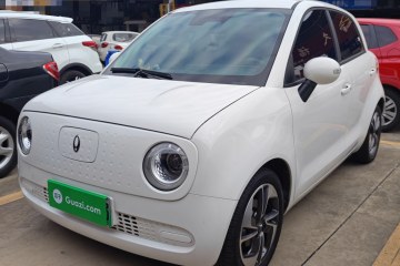 Used ORA Black Cat 2022 351 km Range Comfort Version Ternary Lithium