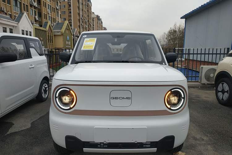 Used  Panda 2024 Panda Mini 200km Endurance Bear
