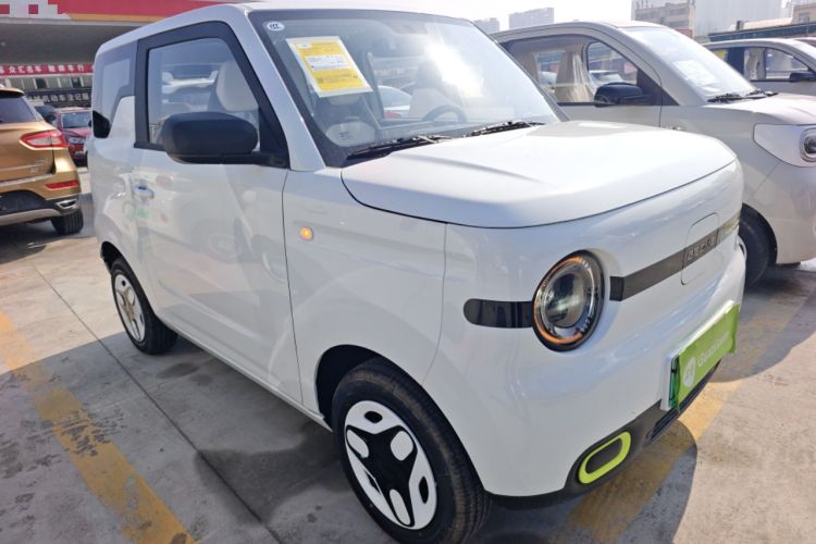 Used  Panda 2025 210 km – Yuanqi Bear
