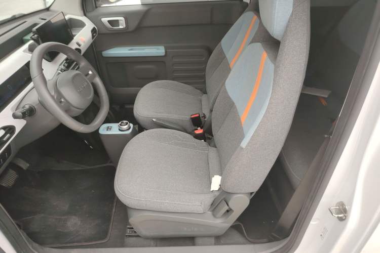 Used  Panda 2023 Panda Mini 200km Endurance Bear
