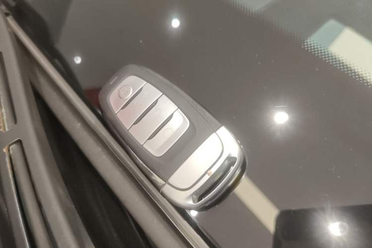 Used Hongqi E-HS9 2021 510 km Flagship Edition Four Seats