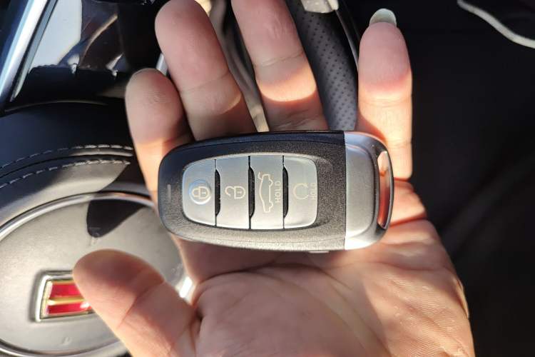 Used Hongqi H9 2020 2.0T Smart Connect Flagship Edition